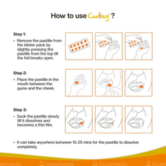 Curkey Mint Flavour Pastille 10